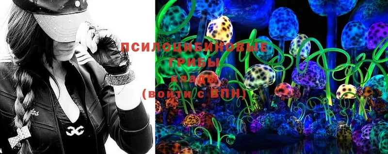 где купить   Камышин  Псилоцибиновые грибы Magic Shrooms 