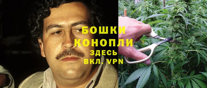 Бошки Шишки Ganja  ссылка на мегу ТОР  Камышин 